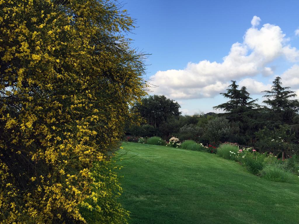 Locanda Ilune Pitigliano Zewnętrze zdjęcie