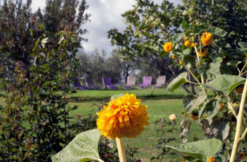 Locanda Ilune Pitigliano Zewnętrze zdjęcie