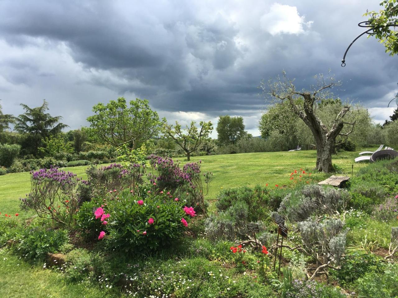 Locanda Ilune Pitigliano Zewnętrze zdjęcie